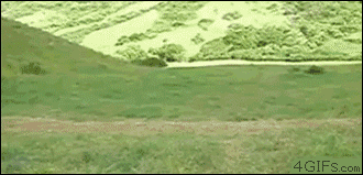 Bicycle-jousting