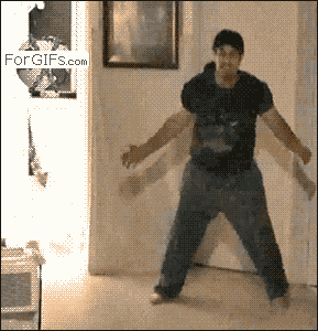 Kinect-accident-cat-fake-kicked