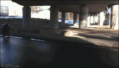 Longboard-loop
