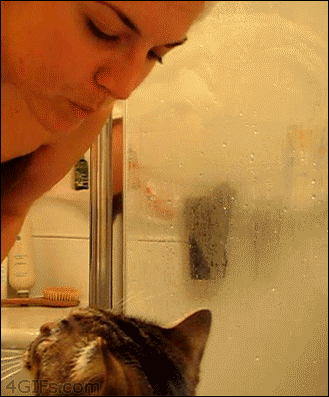 Cat-kiss-nuzzle