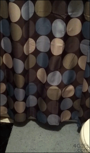 Shower-curtain-laser-pointer