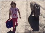 Little-girl-strolls-with-rhino