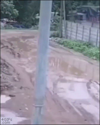 Overloaded-truck-collapse