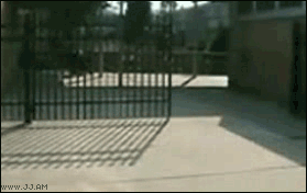 Gorillasuit_fail
