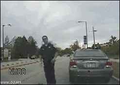 Backs_into_copcar