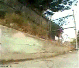 Homeless_bike_accident